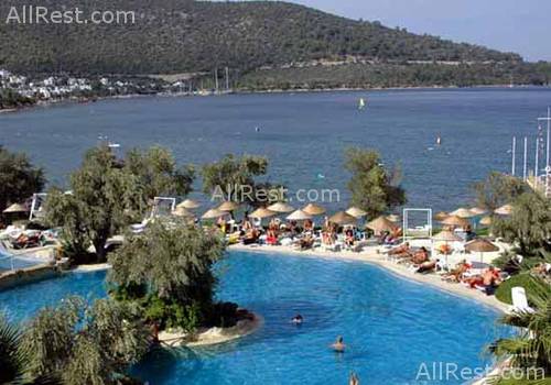 Izer Beach Club 8